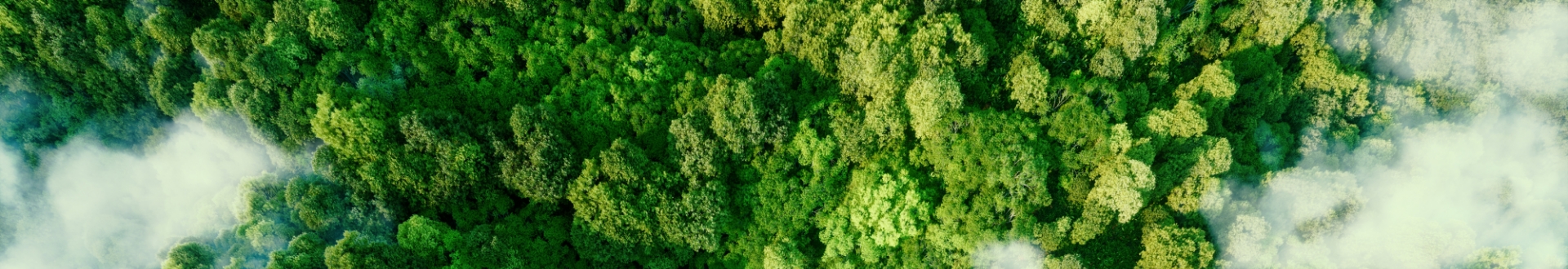 Sustainability